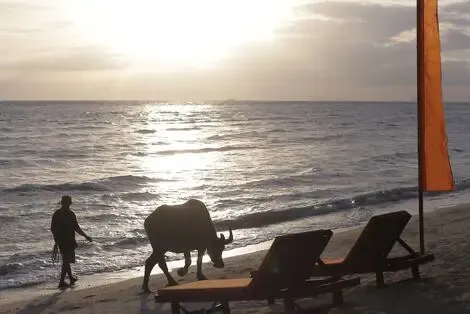 Thailande : Hôtel Viva Vacation Resort