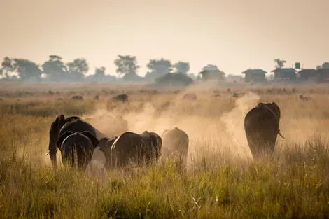 Parc Chobe