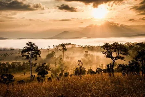Circuit I love Afrique du Sud, Chutes Victoria & Parc Chobe johannesbourg Afrique Du Sud