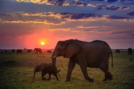Circuit Magie de l'Afrique du Sud, Chutes Victoria & parc chobe - été 2023 le_cap Afrique Du Sud