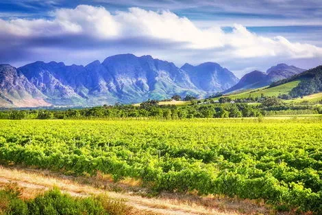 Route des vins