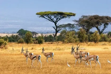 Circuit L'Afrique du Sud Intimiste le_cap Afrique Du Sud