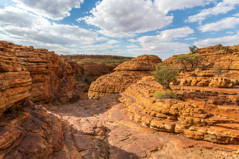 Kings Canyon