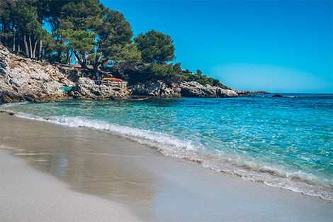 Baleares : Hôtel Iberostar Waves Pinos Park