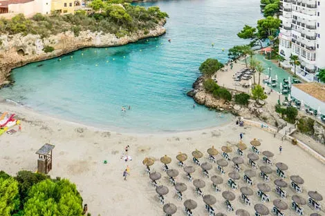 Baleares : Club SeaClub MarSenses Ferrera Blanca Family Resort