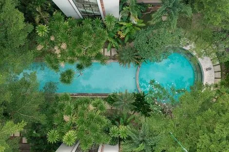 piscine vue drone