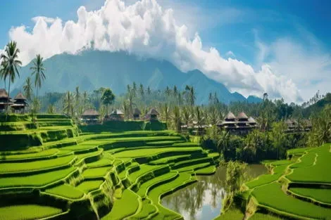 Circuit Rêverie Balinaise en roue libre - avec Chauffeur denpasar Bali