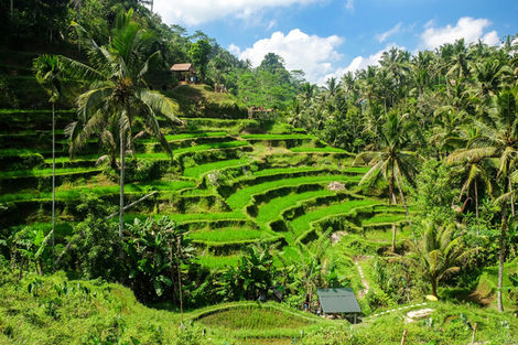 Ubud