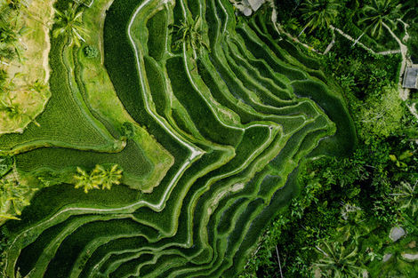 Ubud