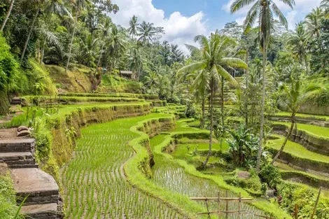 Combiné hôtels Rizières et Plage sur l'île des Dieux denpasar Bali