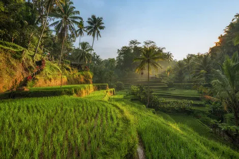 Ubud