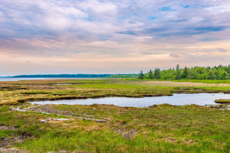 Kouchibouguac