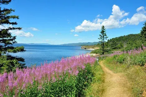 Autotour Des Chutes du Niagara au Rocher Percé - Éclaireur - SUP toronto Canada