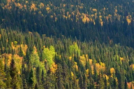 Parc de la Gaspésie