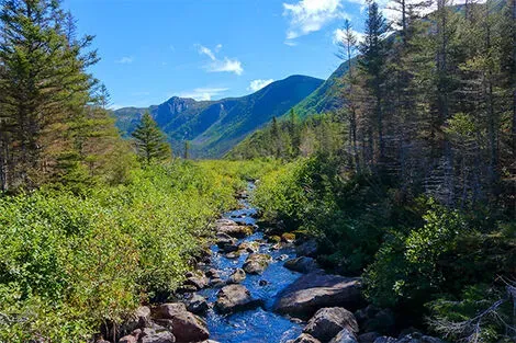 Parc National de la Gaspésie