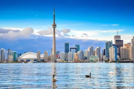 Toronto
