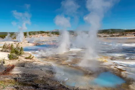 Geyser Yellowstone