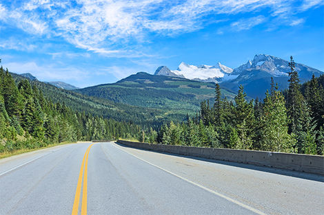 Yellowhead