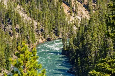 Yellowstone