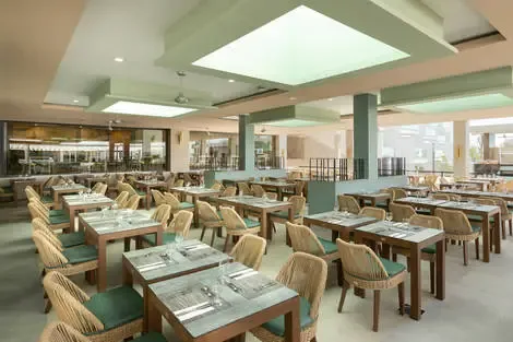 Restaurant principal - Terrasse
