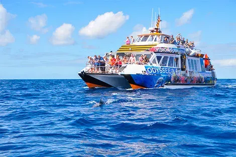 Odyssée 3