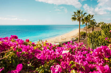 Hôtel Robinson Esquinzo Playa jandia Canaries