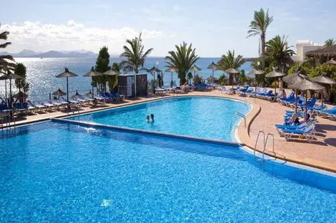 Canaries : Club Ôclub Experience SBH Royal Monica