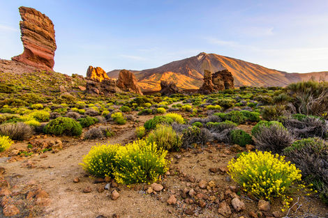 Parc national del Teide