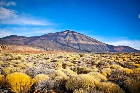 Parc national del Teide