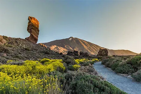 Parc National du Teide
