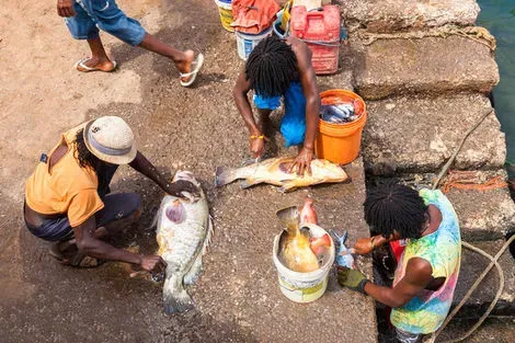 Porto Novo - Pêcheurs