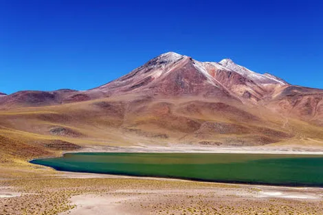 Laguna Miscanti