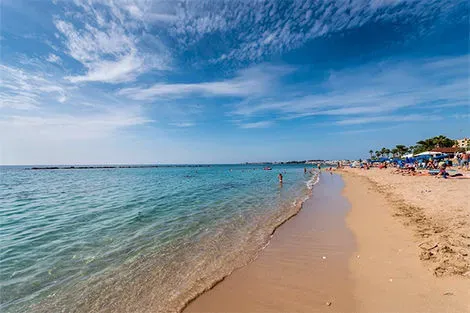 Chypre : Hôtel Hôtel Paphos Garden