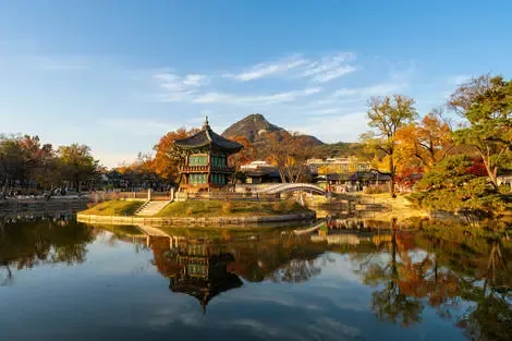 Circuit Corée du Sud grandeur nature : sur les chemins du matin calme seoul Coree
