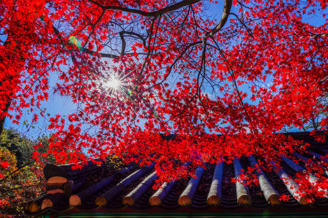 Temple à Gimcheon, Jikjisa