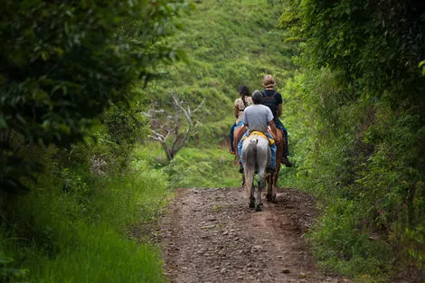 Balade à cheval