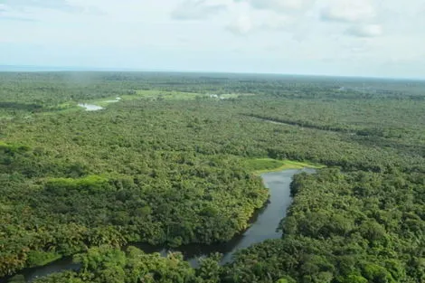 Circuit Au coeur de la jungle et des forêts san_jose Costa Rica