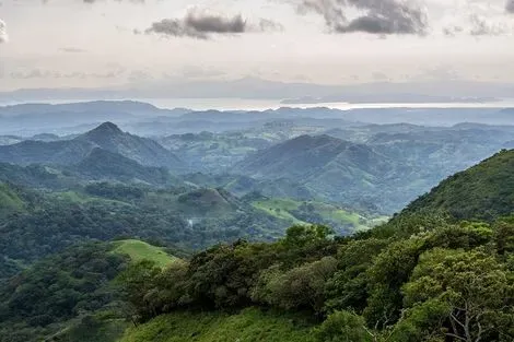 Monteverde