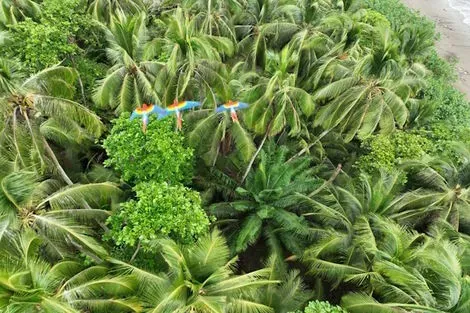 Circuit Découverte du Costa Rica et du Panama- Pré tour Tortuguero - Limité à 18 pers. san_jose Costa Rica