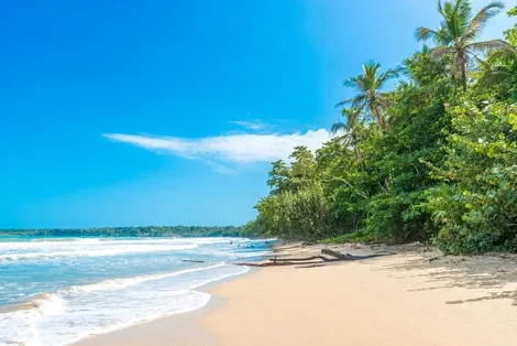 séjour Costa Rica - Circuit Des Caraïbes au Pacifique 3*/