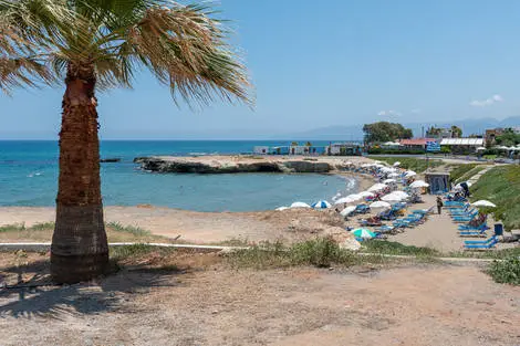 Sunshine Seaside Hôtel hersonissos Crète