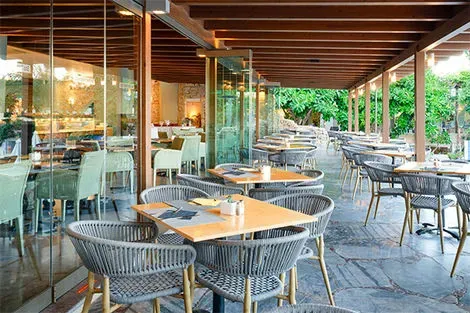Restaurant Terrasse