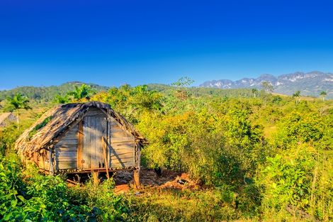 Maison de séchage de tabac - Vinales