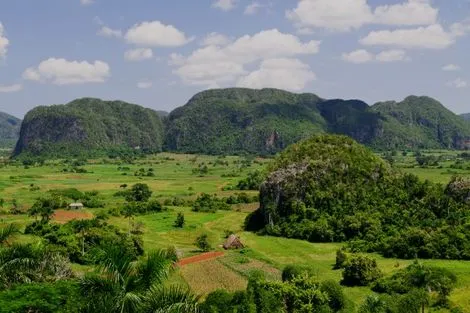 Vinales