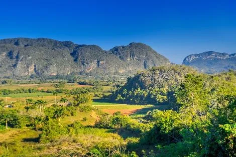 Vinales