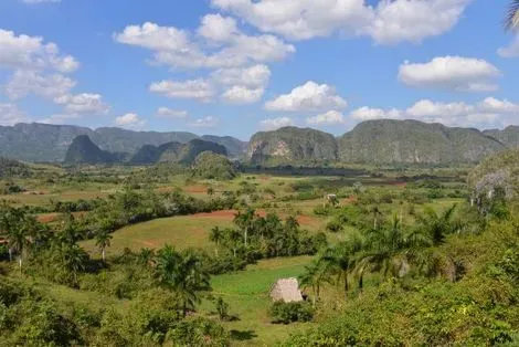 VINALES