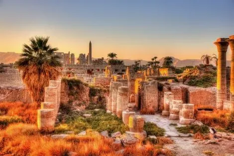 Croisière Contrastes du Nil et de la Mer Rouge - Sortie Hurghada 2026 le_caire Egypte