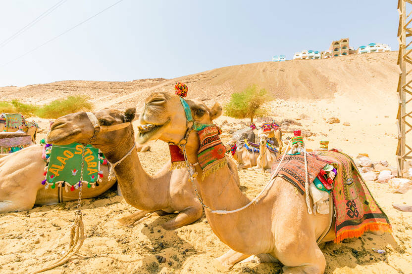 séjour Egypte - Combiné croisière et hôtel Framissima Gloire des pharaons à bord du Framissima Monica et extension au Framissima Swiss Inn Resort (14 nuits)