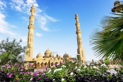 Combiné croisière et hôtel Du Nil à la mer Rouge louxor Egypte