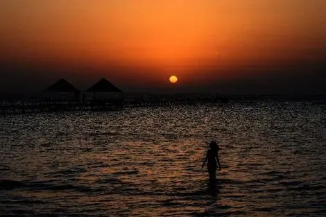 Hôtel Iberotel Redsina sharm_el_sheikh_south_sinai_governorate EGYPTE